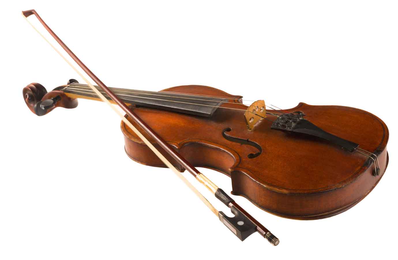 Violine